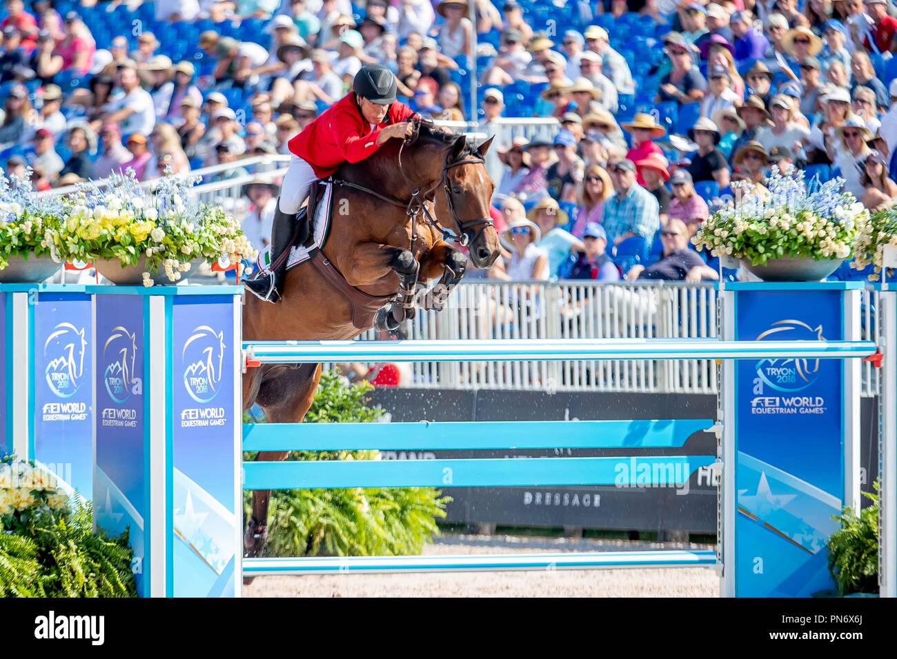 Federico Fernandez. Landpeter do ferolto. MEX. Show Jumping. Team and individual Second Completion. Round 1. Day 9. World Equestrian Games. WEG 2018 Tryon. North Carolina. USA. 20/09/2018. Stock Photo