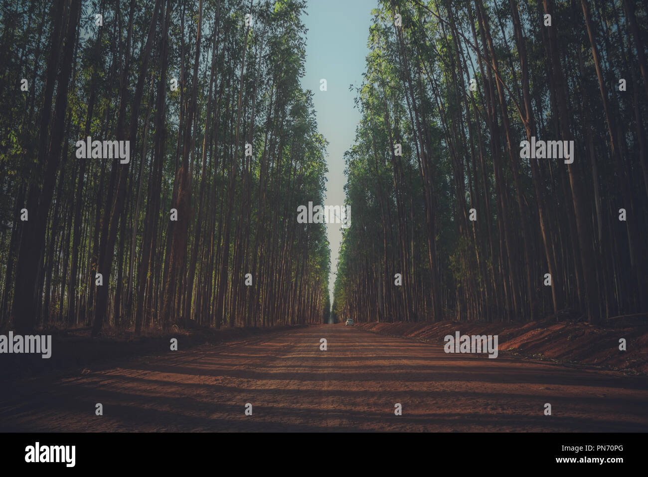 New paths hi-res stock photography and images - Alamy