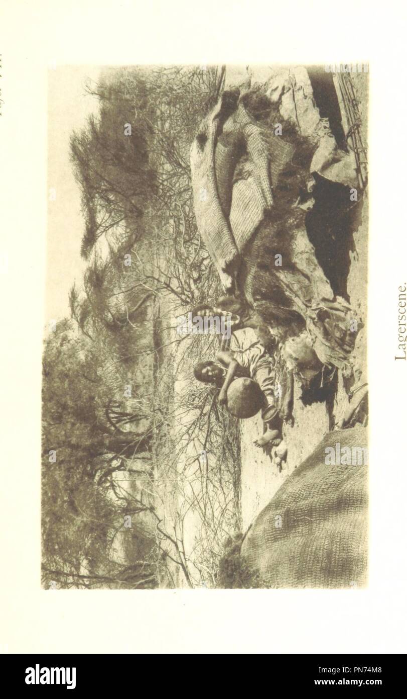Image  from page 217 of 'Zu den Aulihan. Reise- und Jagderlebnisse im Somâlilande . Mit 10 Lichtdruckbildern und einer Karte' . Stock Photo