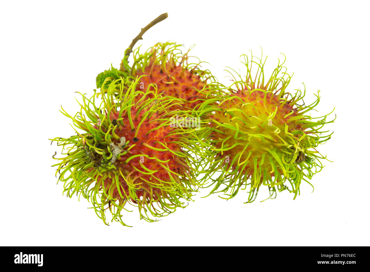 Rambutan isolated on white background Stock Photo - Alamy