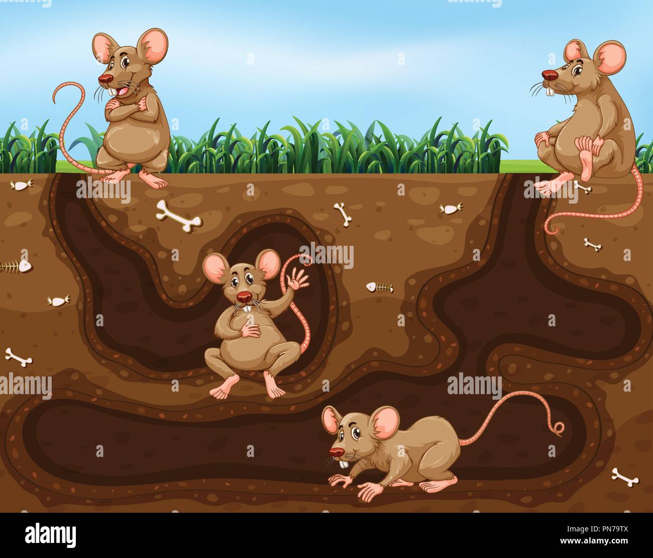 How Rats Home Underground Rat family living underground illustration Stock Vector Image & Art - Alamy