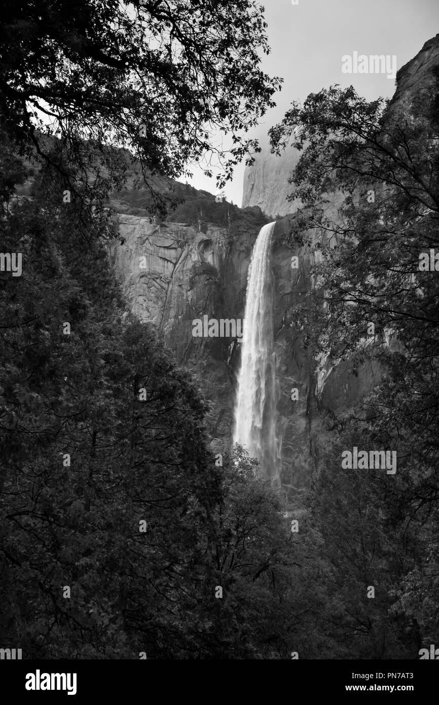 Yosemite falls viewed through the trees on a foggy morning Stock Photo