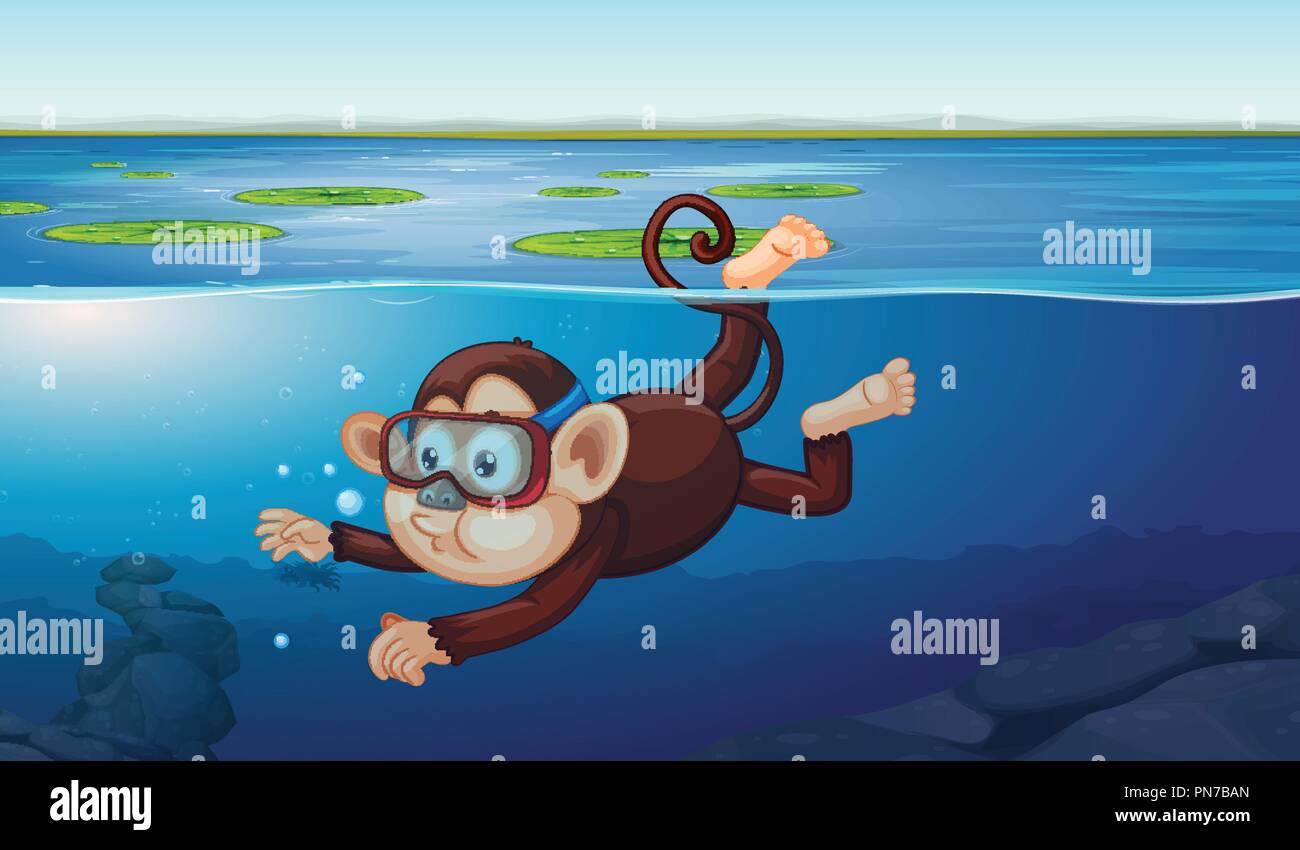A monkey diving in the pond illustration Stock Vector