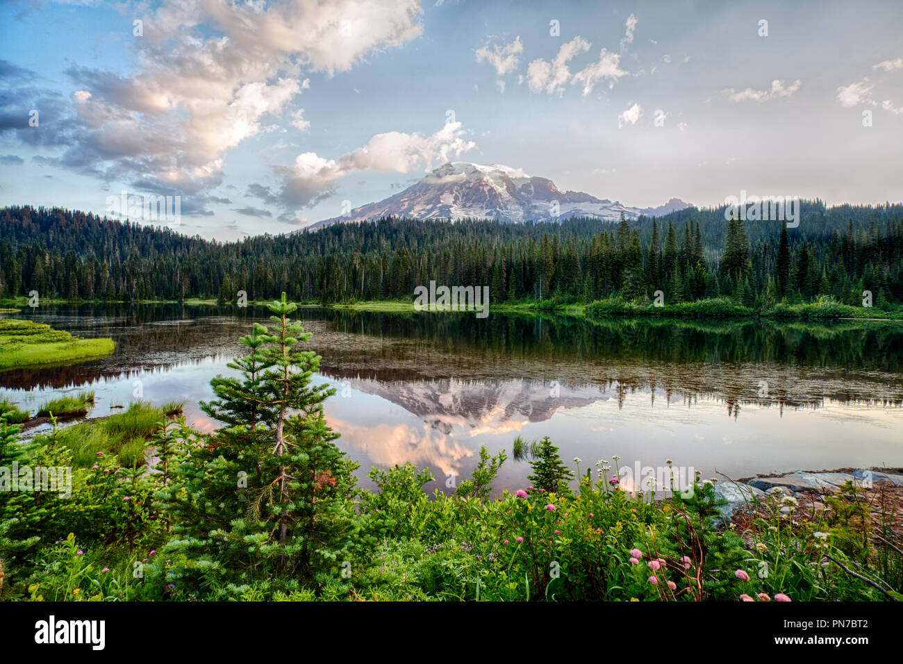 Mt Rainier and Reflection Lake at sunrise and wildflowers blooming Stock Photo