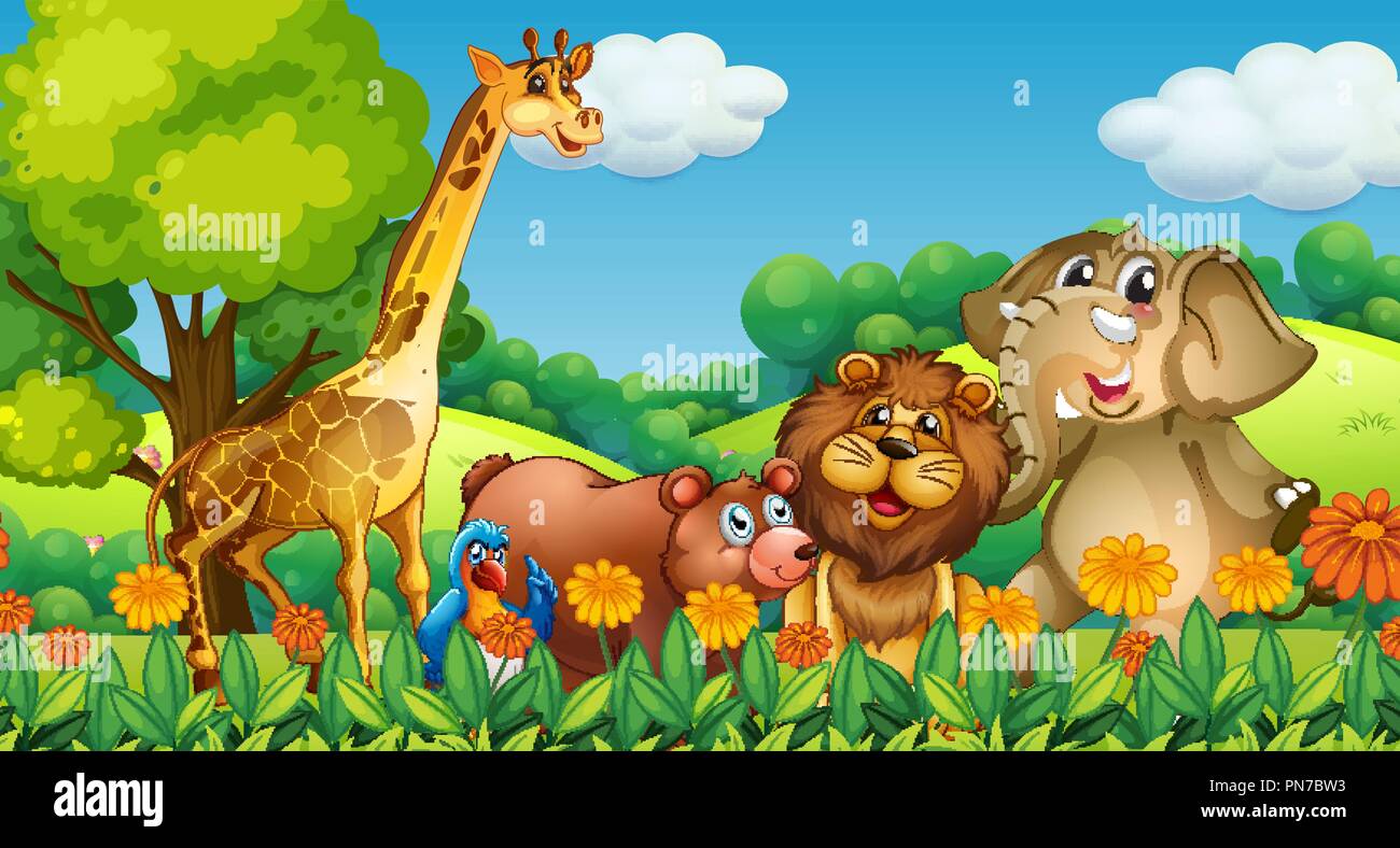 Wild animals in the forest illustration Stock Vector Image & Art - Alamy