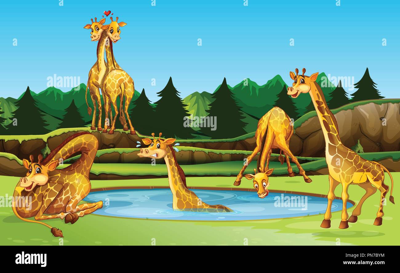 Giraffe in the nature illustration Stock Vector Image & Art - Alamy