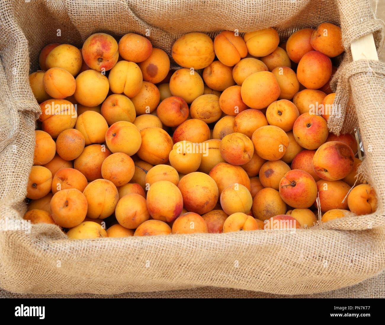 box of apricots for sale at local fruit maket Stock Photo Alamy