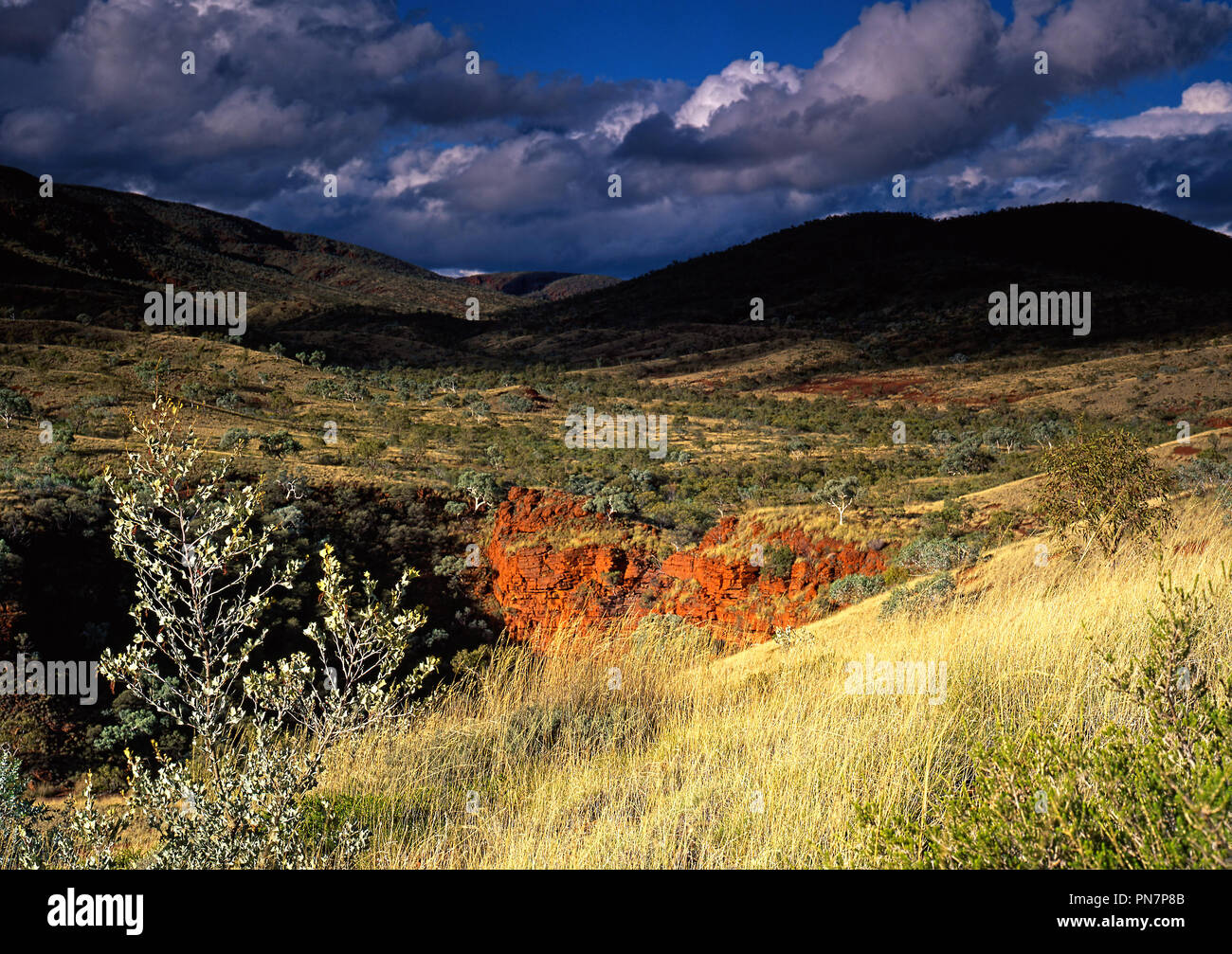 Australian outback landscape, Munjina Gorge, Pilbara, Northwest Australia Stock Photo