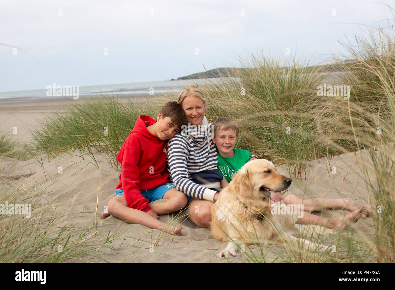 A mum with her two young boys and a dog sitting in the sand dunes with the beach behind them. Stock Photo
