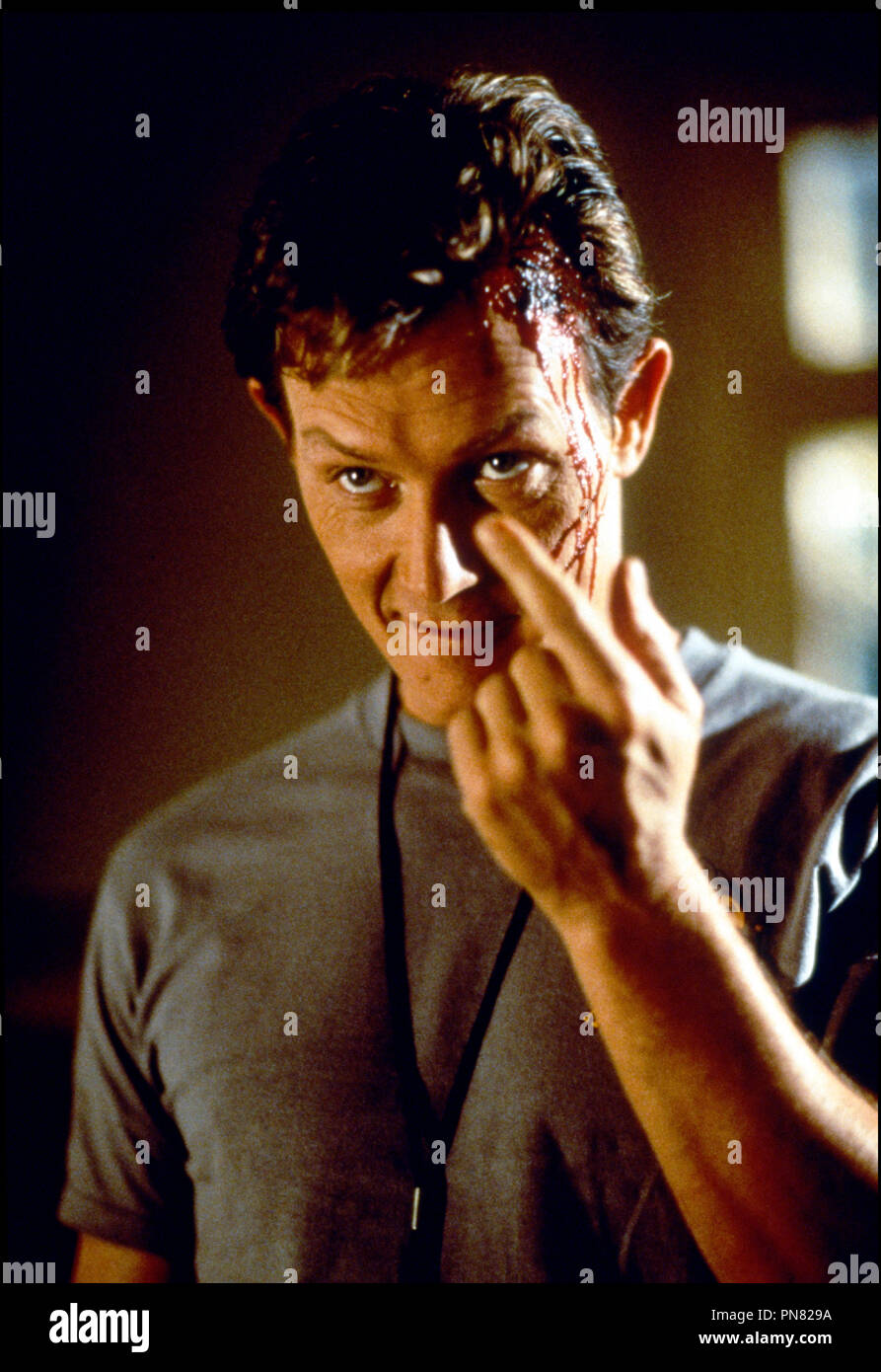 Prod Db â Dimensions Films Dr The Faculty The Faculty De Robert