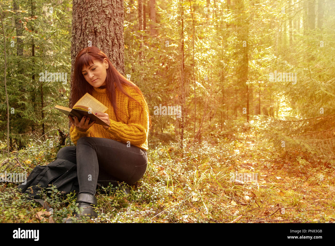 Girl reading a book in the forest, toning Stock Photo - Alamy