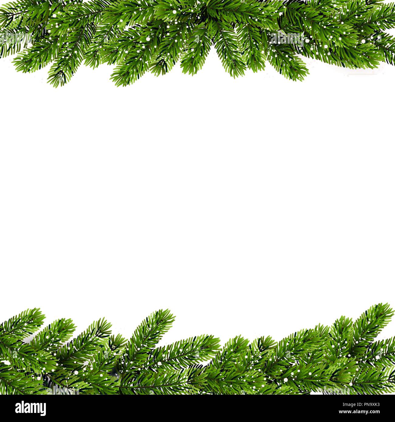 Christmas background with green Pine Branches. Vector Stock Vector