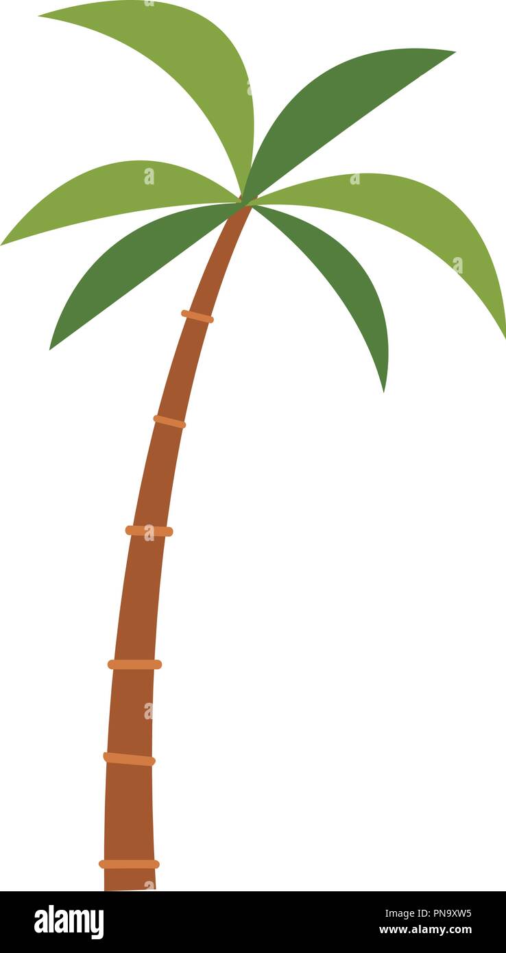 Palm tree isolated Stock Vector Image & Art - Alamy