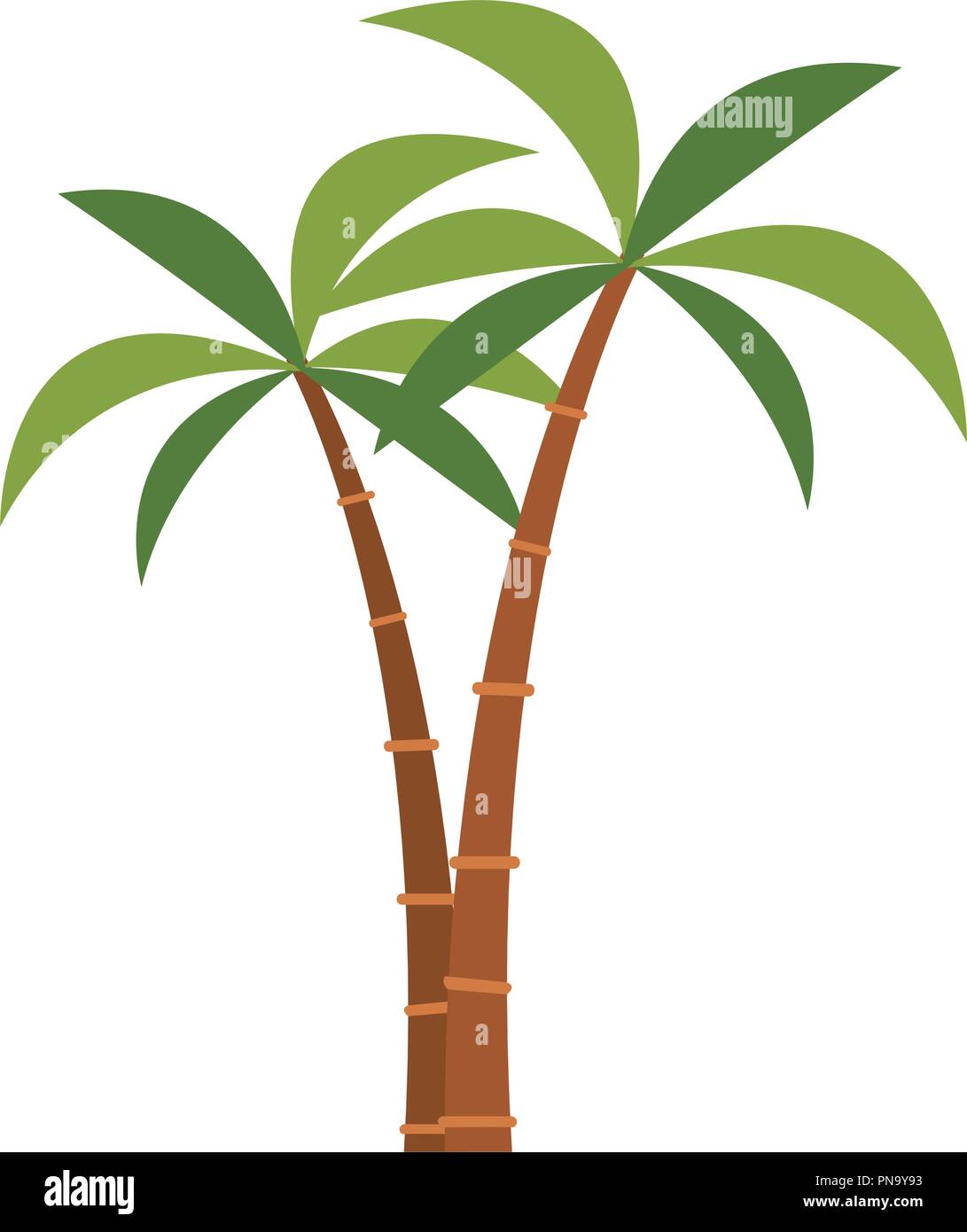 Palms tree isolated Stock Vector Image & Art - Alamy