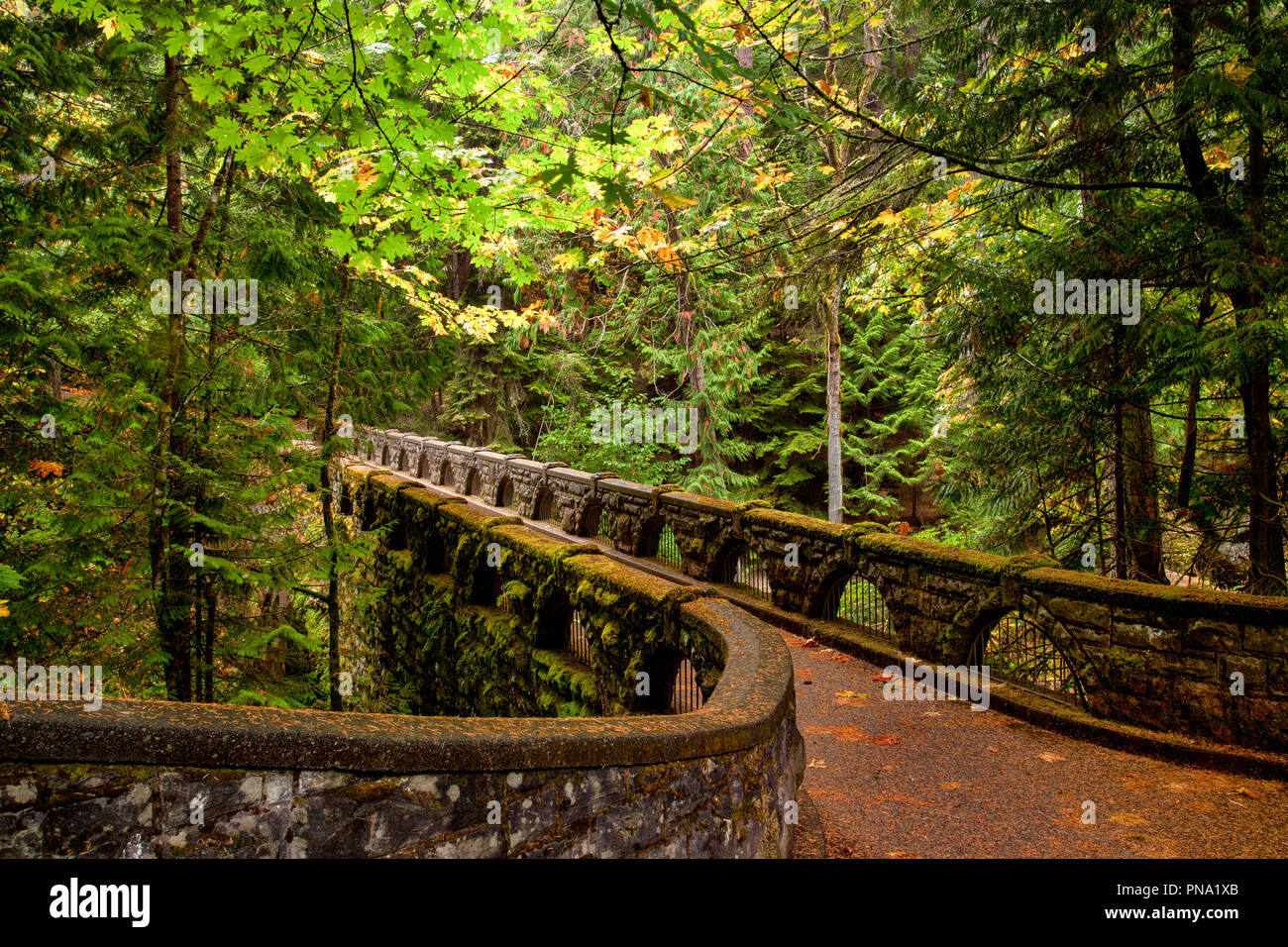 Bellingham Washington