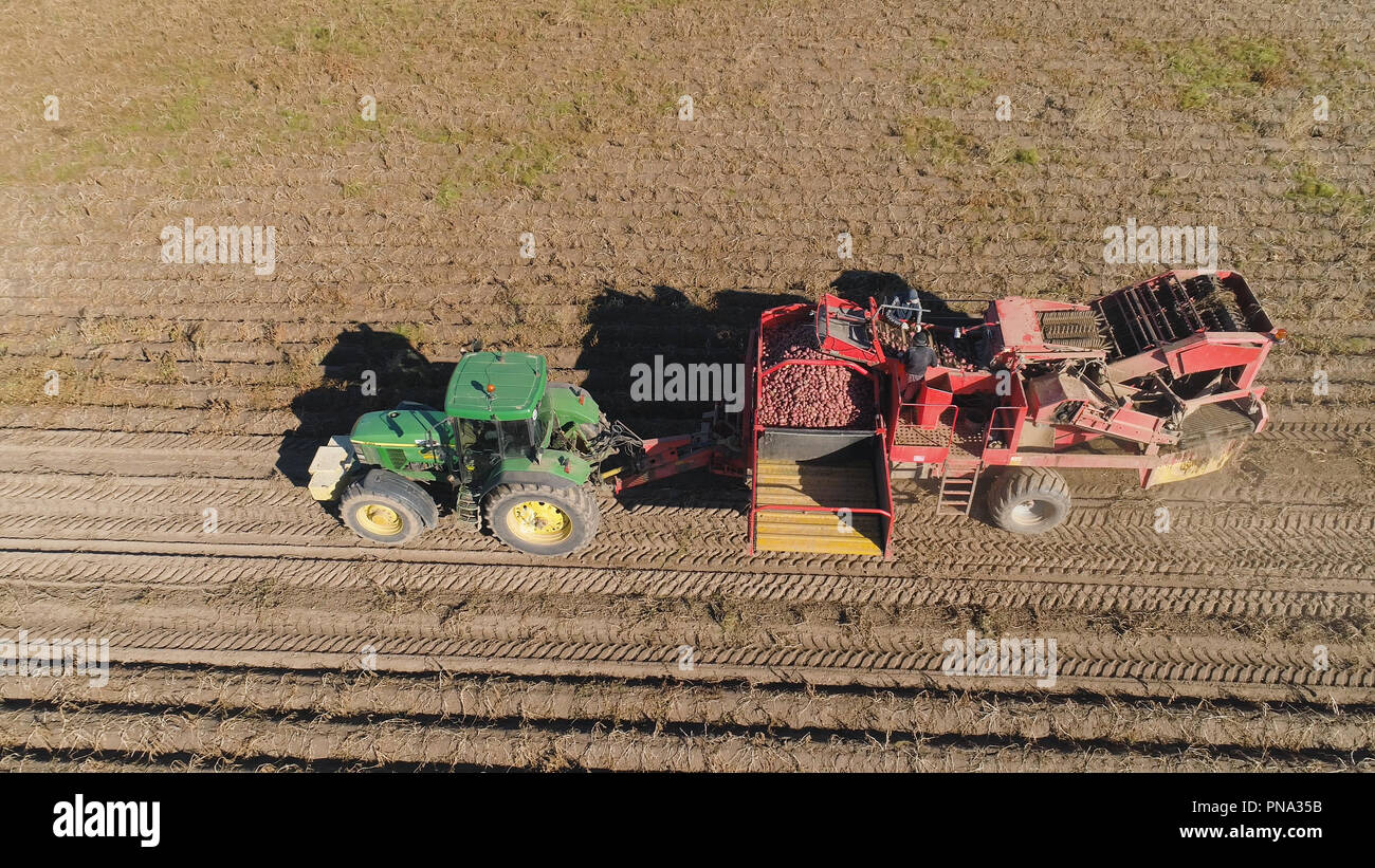 potatoes harvesting machine with tractor in farm land for harvesting