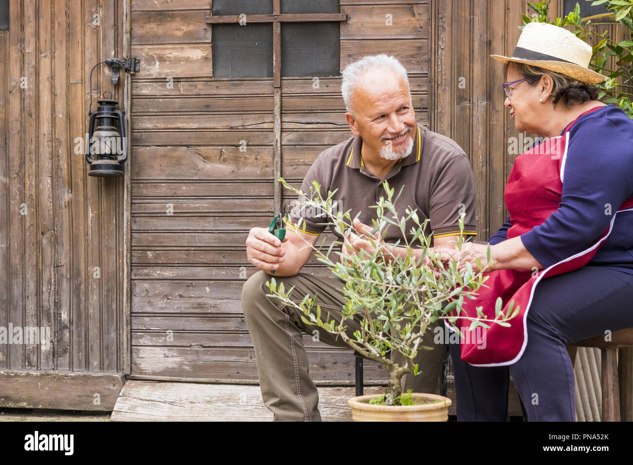 elderly senior couple in countryside like home farm work together, with plants cutting and repair them. family concept of life forever together with l Stock Photo