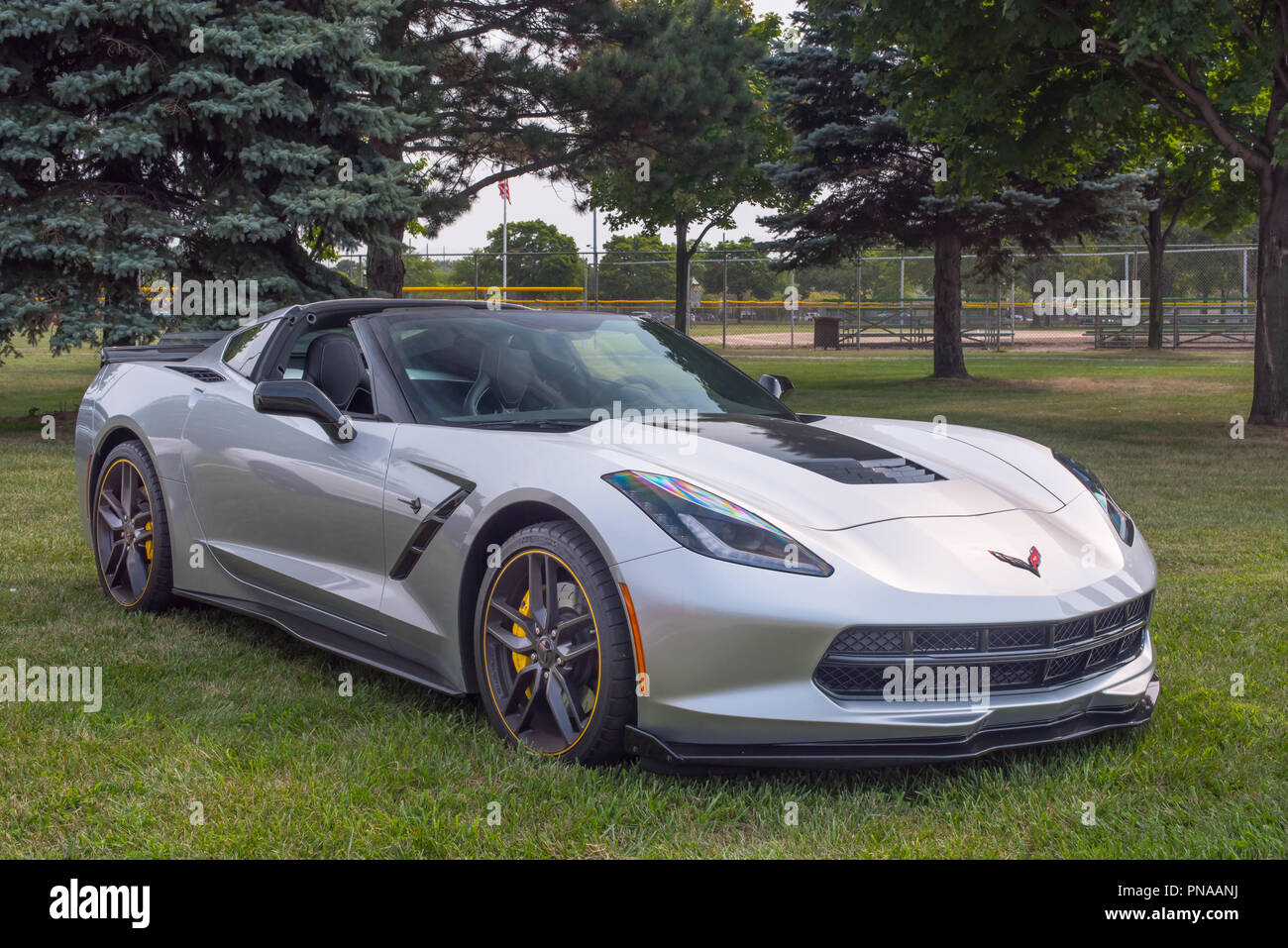 ROYAL OAK, MI/USA - AUGUST 16, 2018: A Chevrolet Corvette at the Woodward Dream Cruise, the world's largest one-day automotive event. Stock Photo