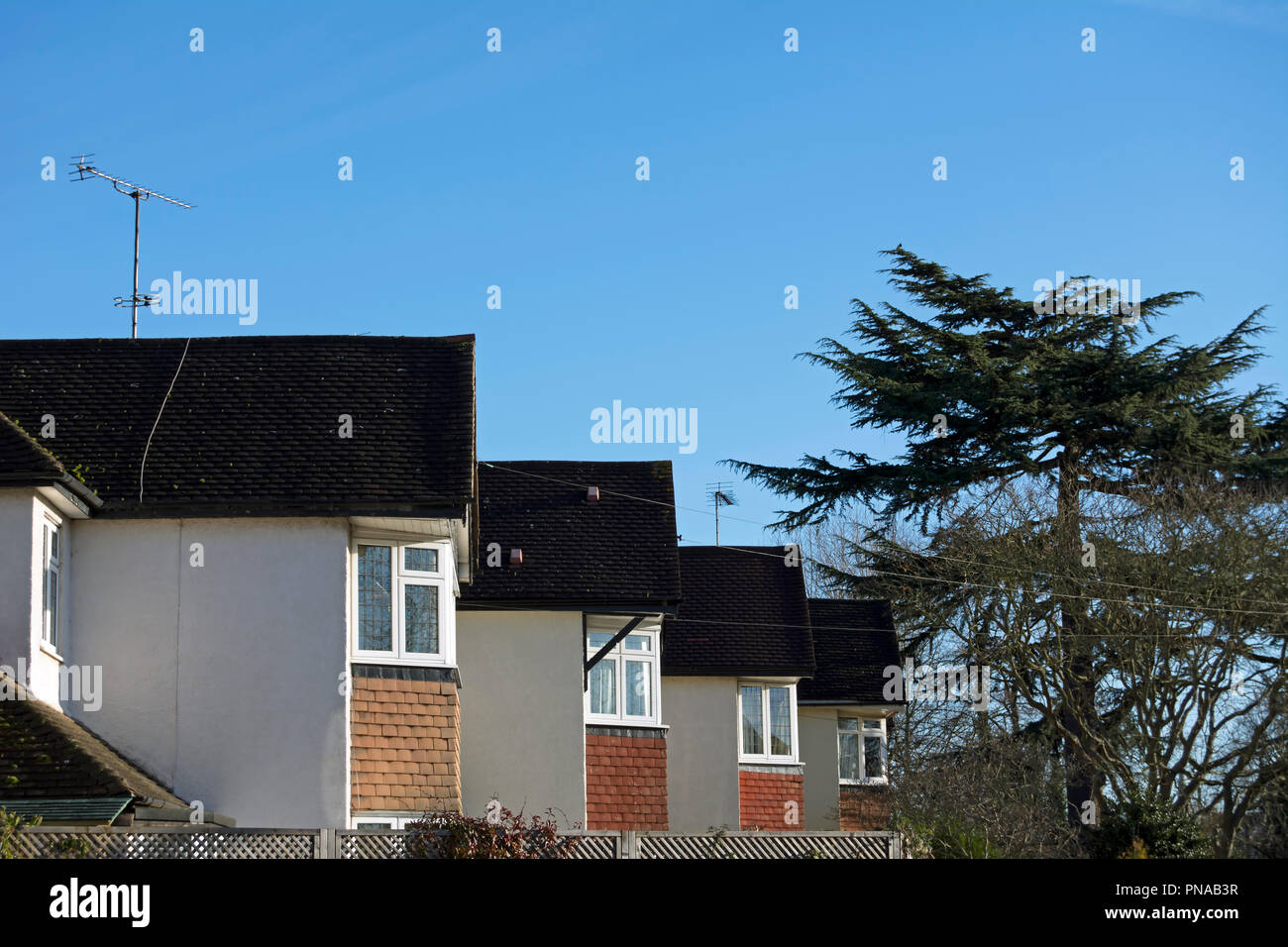 side view of bayfronted detached edwardian houses in east twickenham