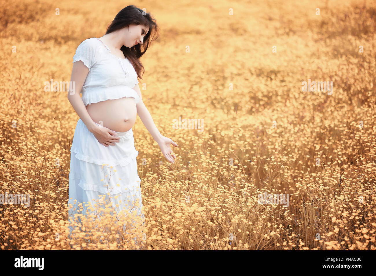 Pregnant woman in nature for a walk in the autumn Stock Photo - Alamy