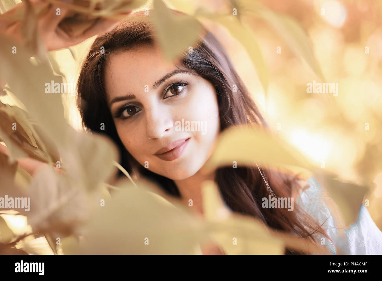 Pregnant woman in nature for a walk in the autumn Stock Photo - Alamy