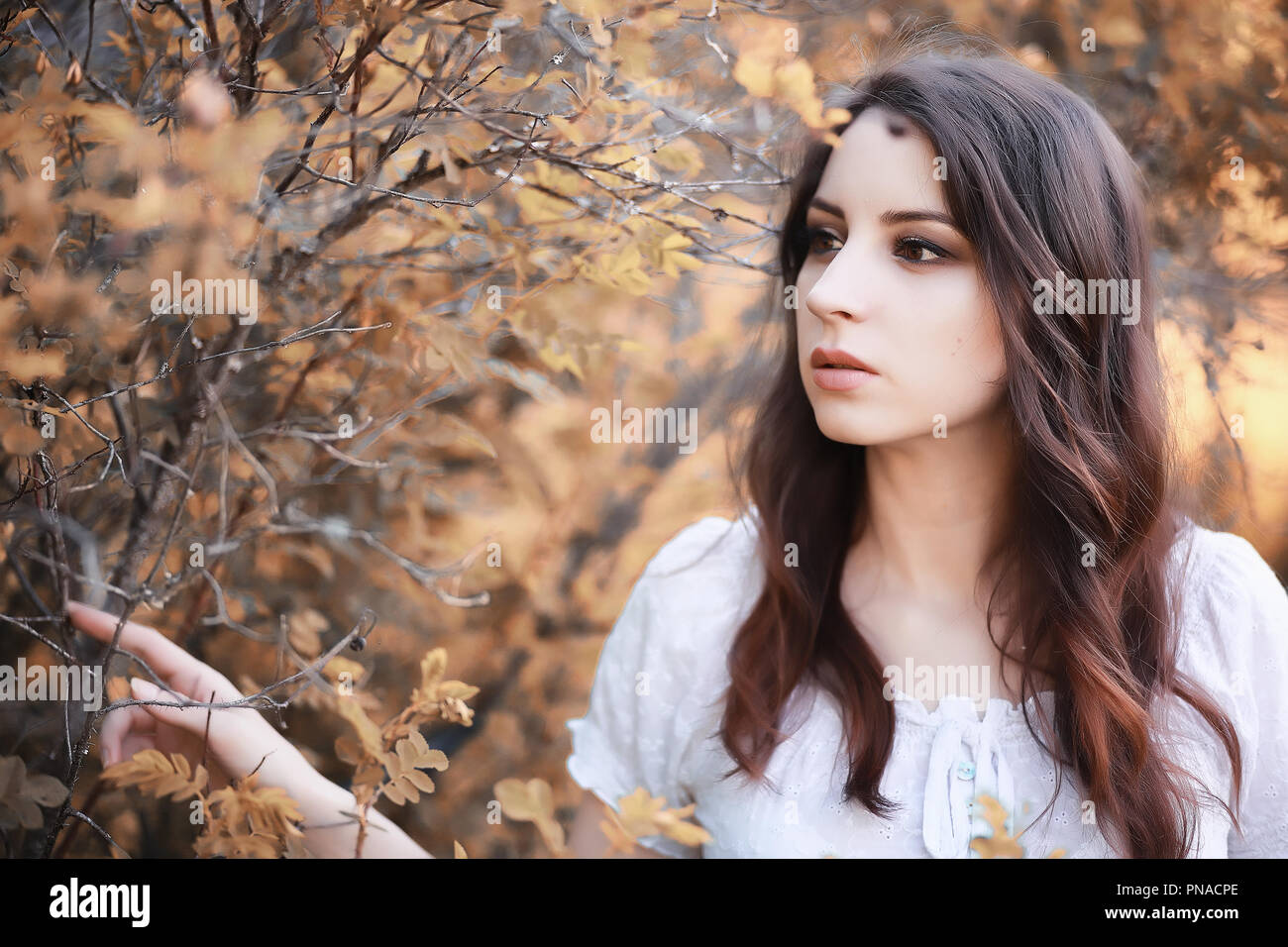 Pregnant woman in nature for a walk in the autumn Stock Photo - Alamy