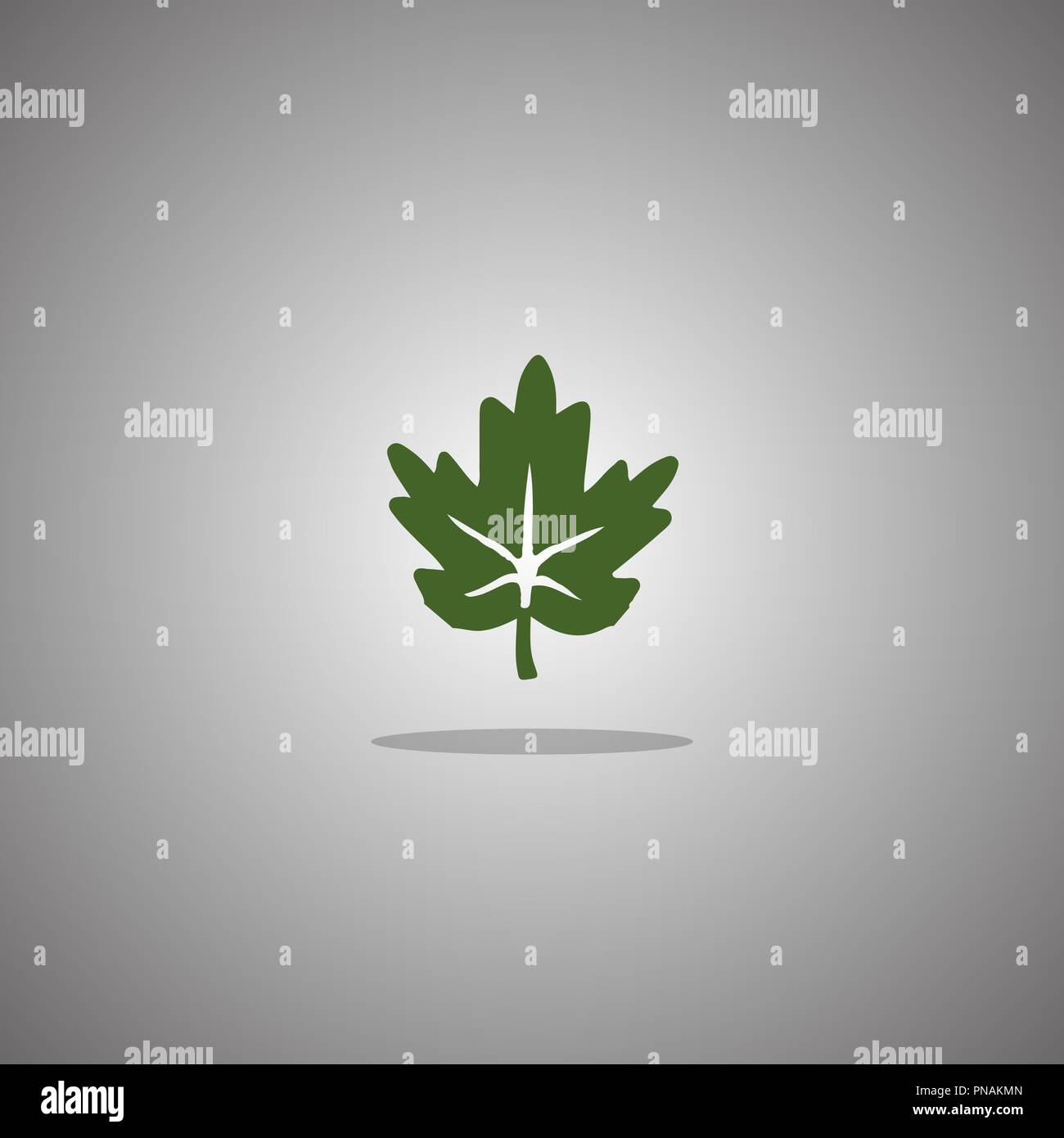Maple leaf green. Vector illustration. Gray background with gradient. Stock Vector