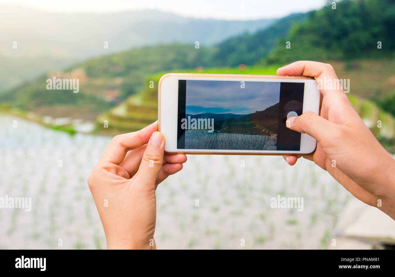 Girl capturing rice terrace scenery with a smart phone Stock Photo