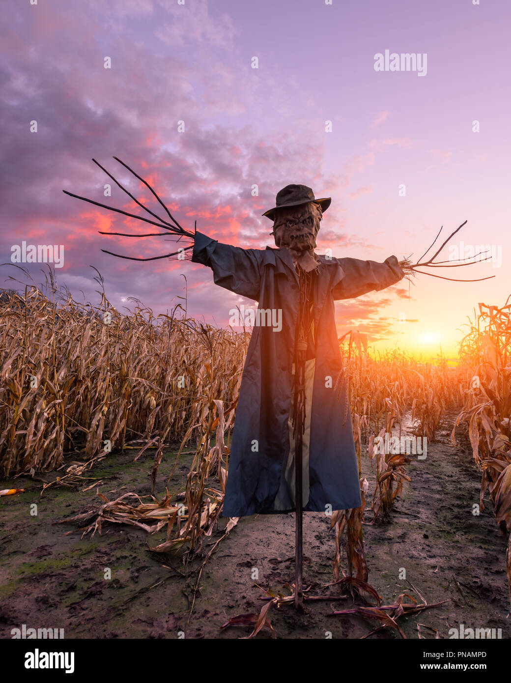 Scary scarecrow in a hat Stock Photo