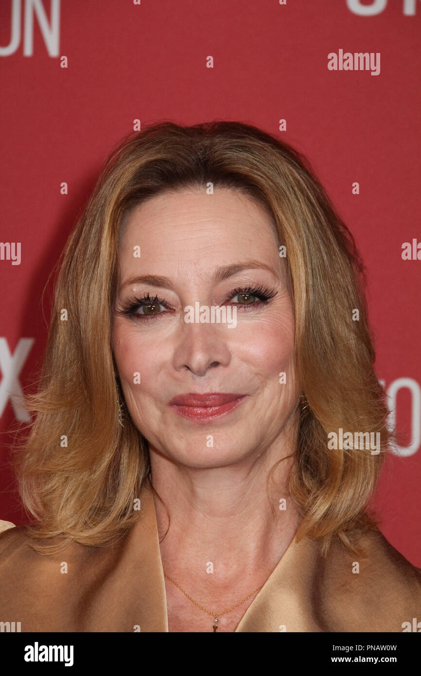 Sharon Lawrence 11/09/2017 SAG-AFTRA Foundation's Patron of the Artists