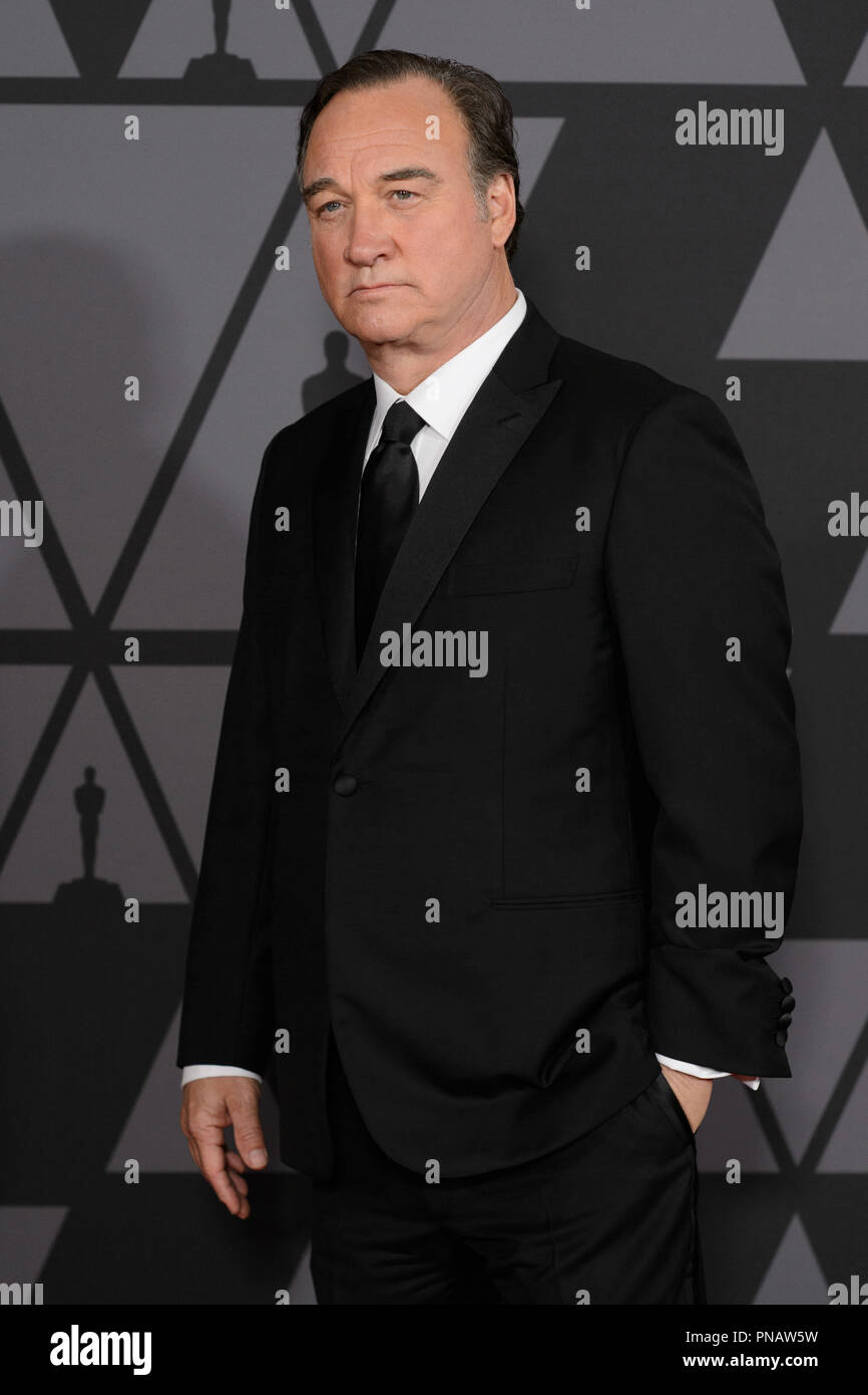 Jim Belushi attends the Academy’s 2017 Annual Governors Awards in The