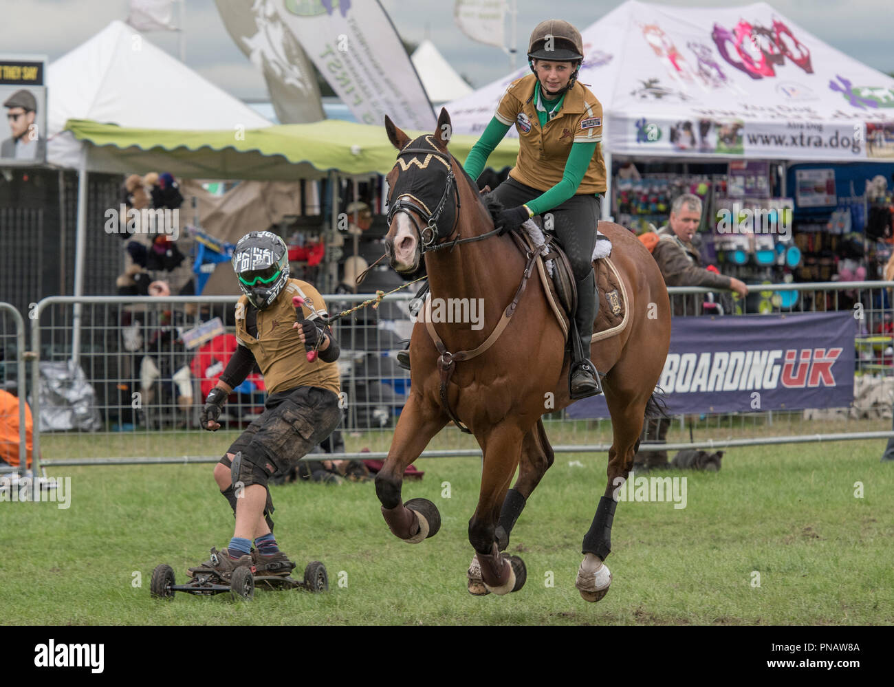 Cheshire Game & Country Fair 2018 Horse Boarding Stock Photo Alamy