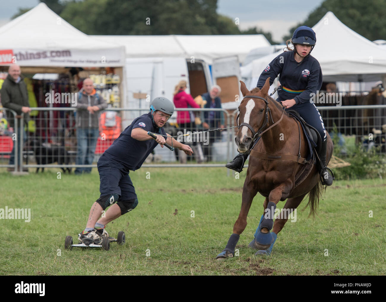 Cheshire Game & Country Fair 2018 Horse Boarding Stock Photo Alamy