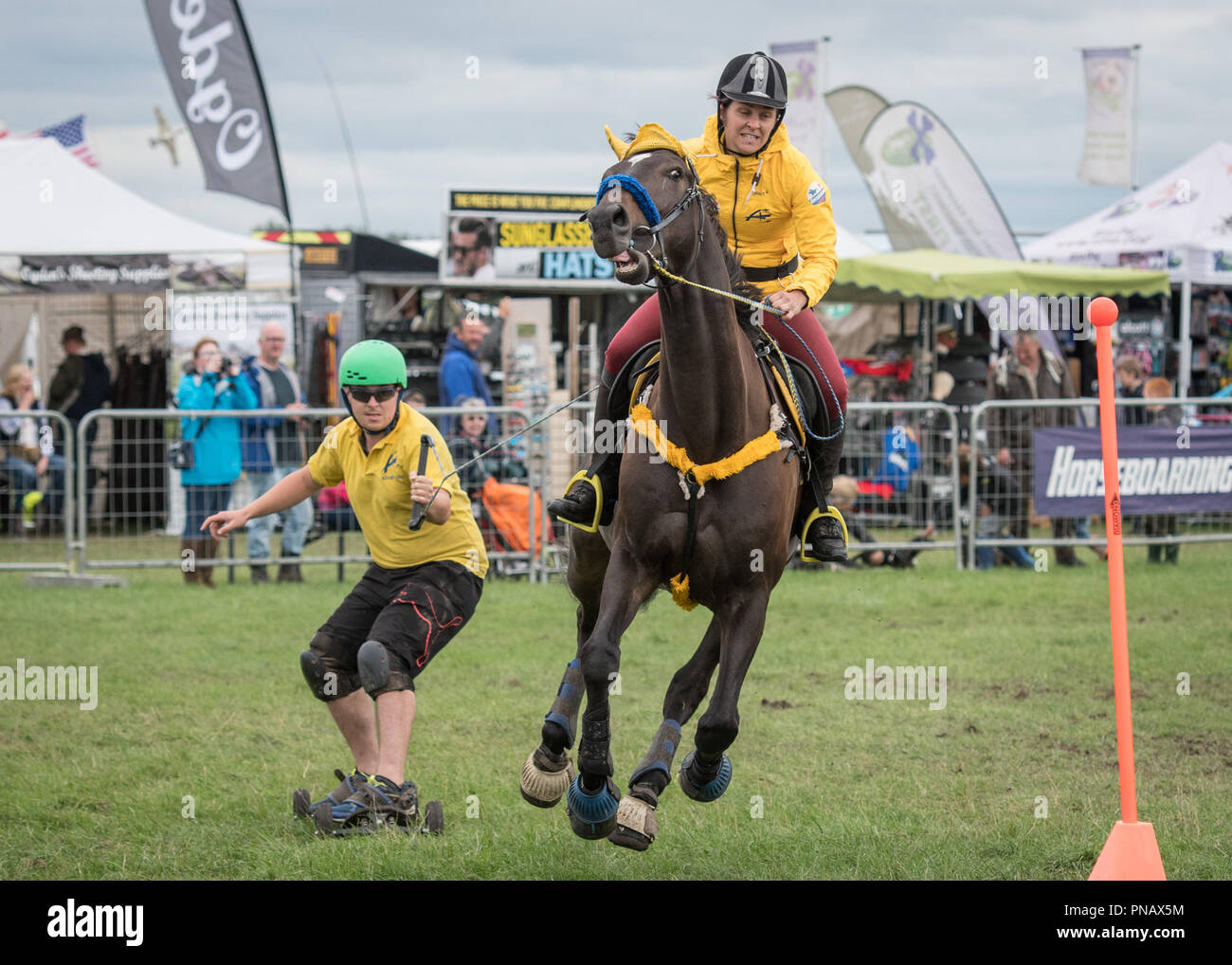 Cheshire Game & Country Fair 2018 Horse Boarding Stock Photo Alamy