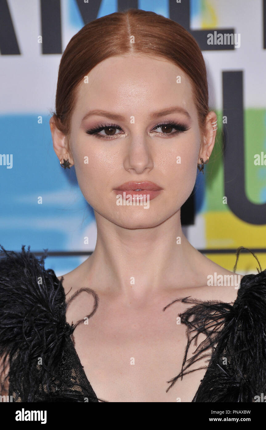 Madelaine Petsch at the 2017 American Music Awards held at the