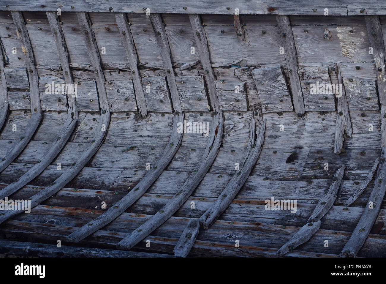 A close up view of the inside of the hull of an old wooden boat showing ...