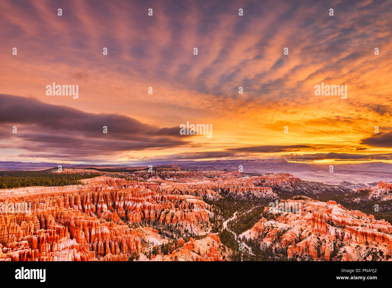 Bryce Canyon National Park, Utah, USA at dawn. Stock Photo