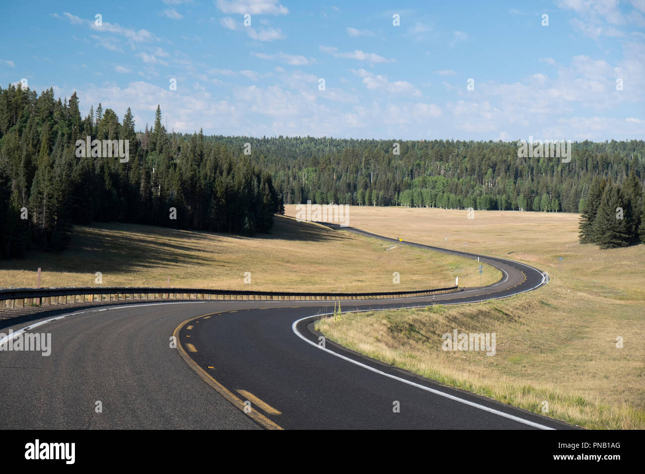 Grand Canyon Highway to the North Rim Hwy 67 Stock Photo Alamy