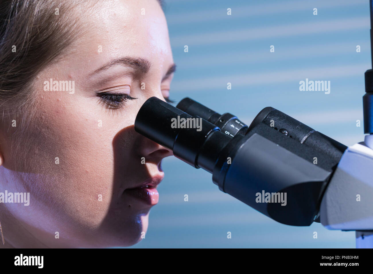 Young scientist using a microscope in a laboratory Stock Photo