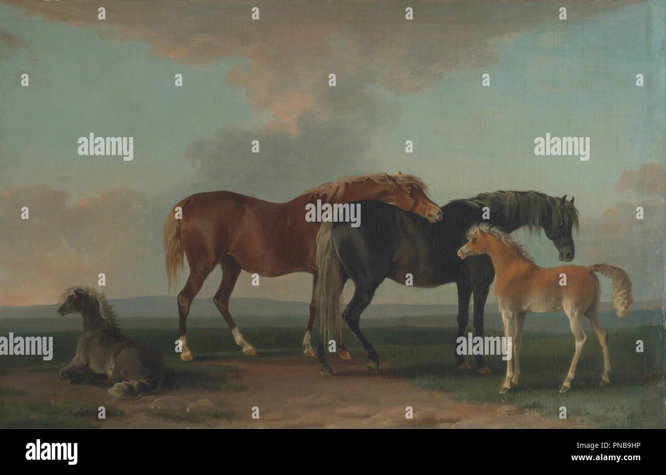 Mares and Foals, facing right. Date/Period: Between 1790 and 1800. Painting. Oil on canvas. Height: 432 mm (17 in); Width: 699 mm (27.51 in). Author: Sawrey Gilpin. Stock Photo