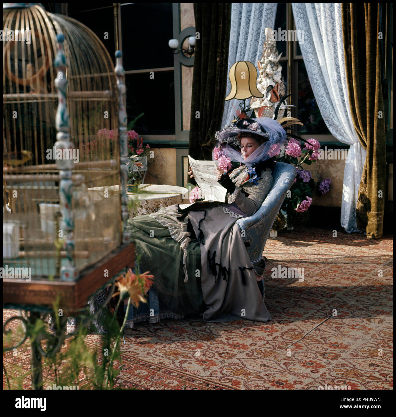 Cage Oiseaux Stock Photos Cage Oiseaux Stock Images Alamy