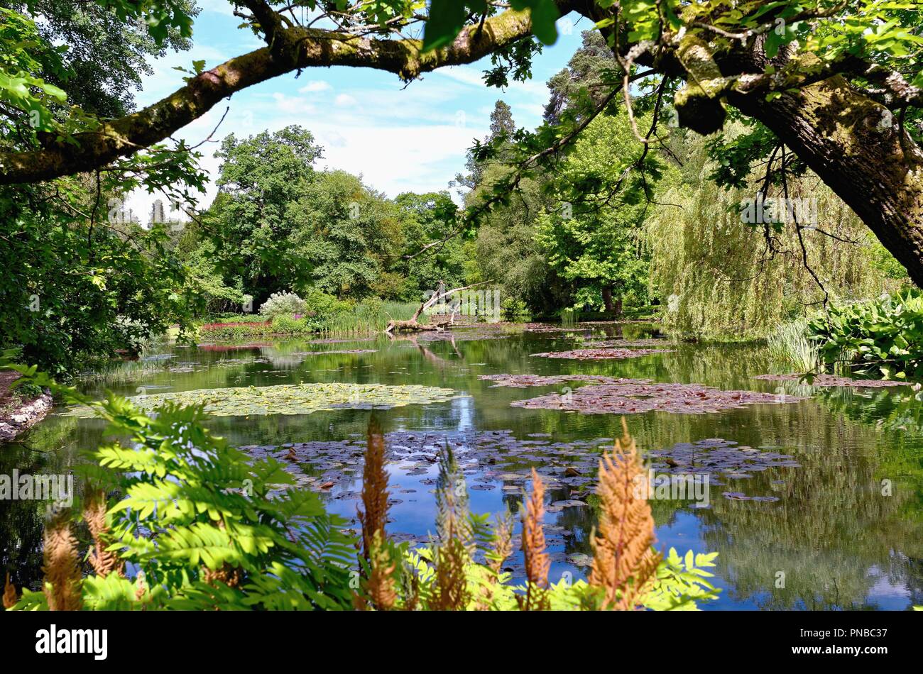 The Water Gardens at Longstock Leckford estate Stockbridge Hampshire