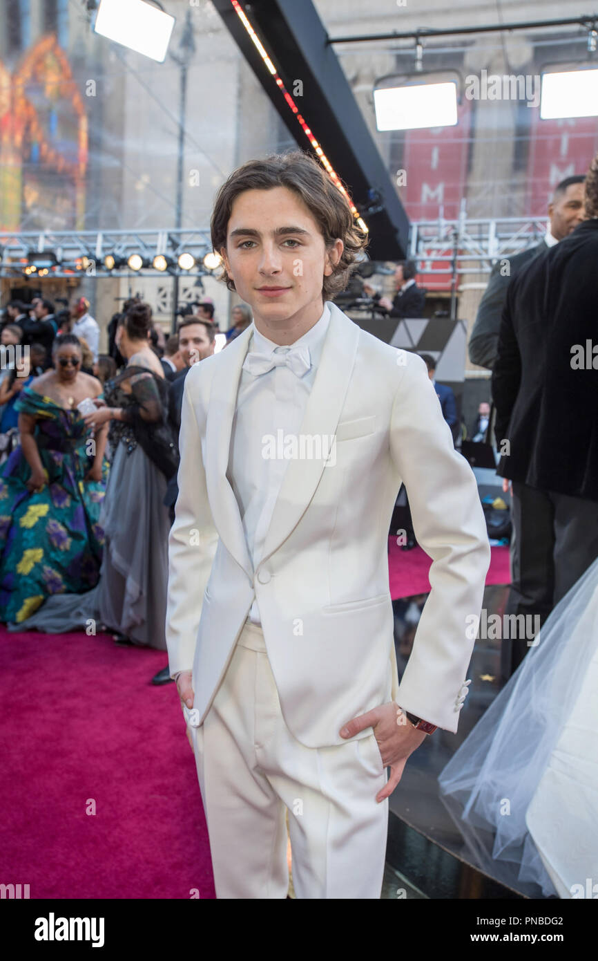 Timothée Chalamet, Oscar® nominee for actor in a leading role, arrives ...