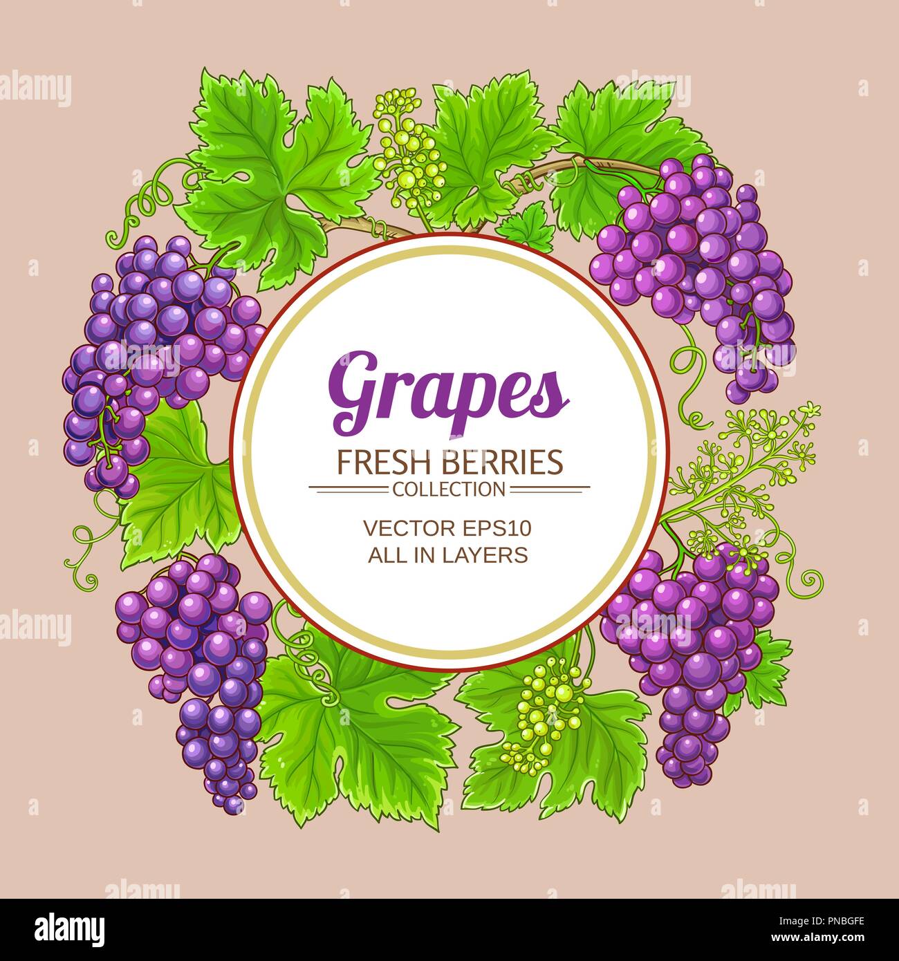 grapes vector frame on white background Stock Vector Image & Art - Alamy