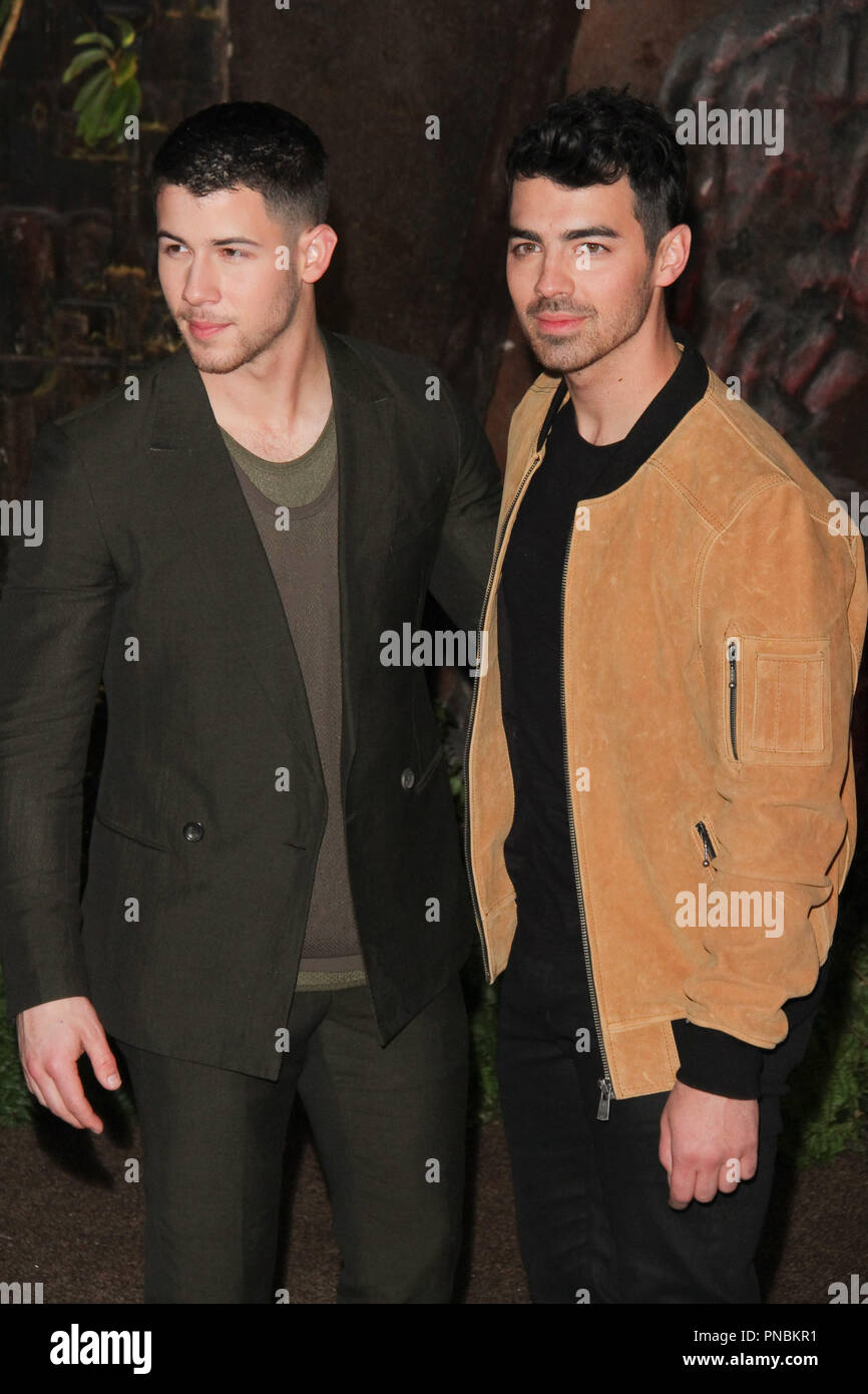Nick Jonas, Joe Jonas at the Premiere of Columbia Pictures' "Jumanji