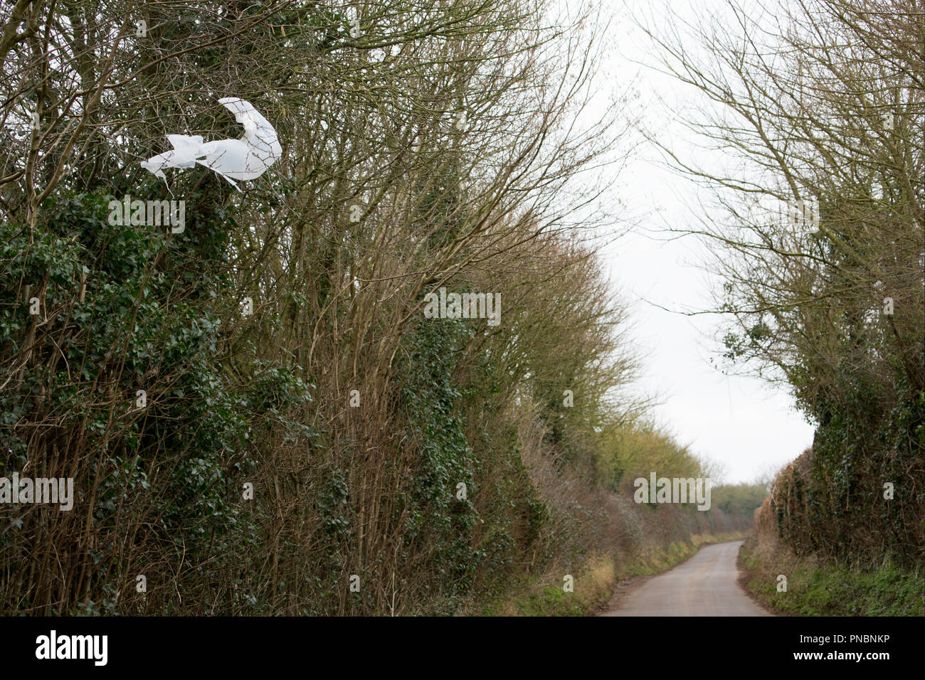Plastic Trees High Resolution Stock Photography And Images Alamy