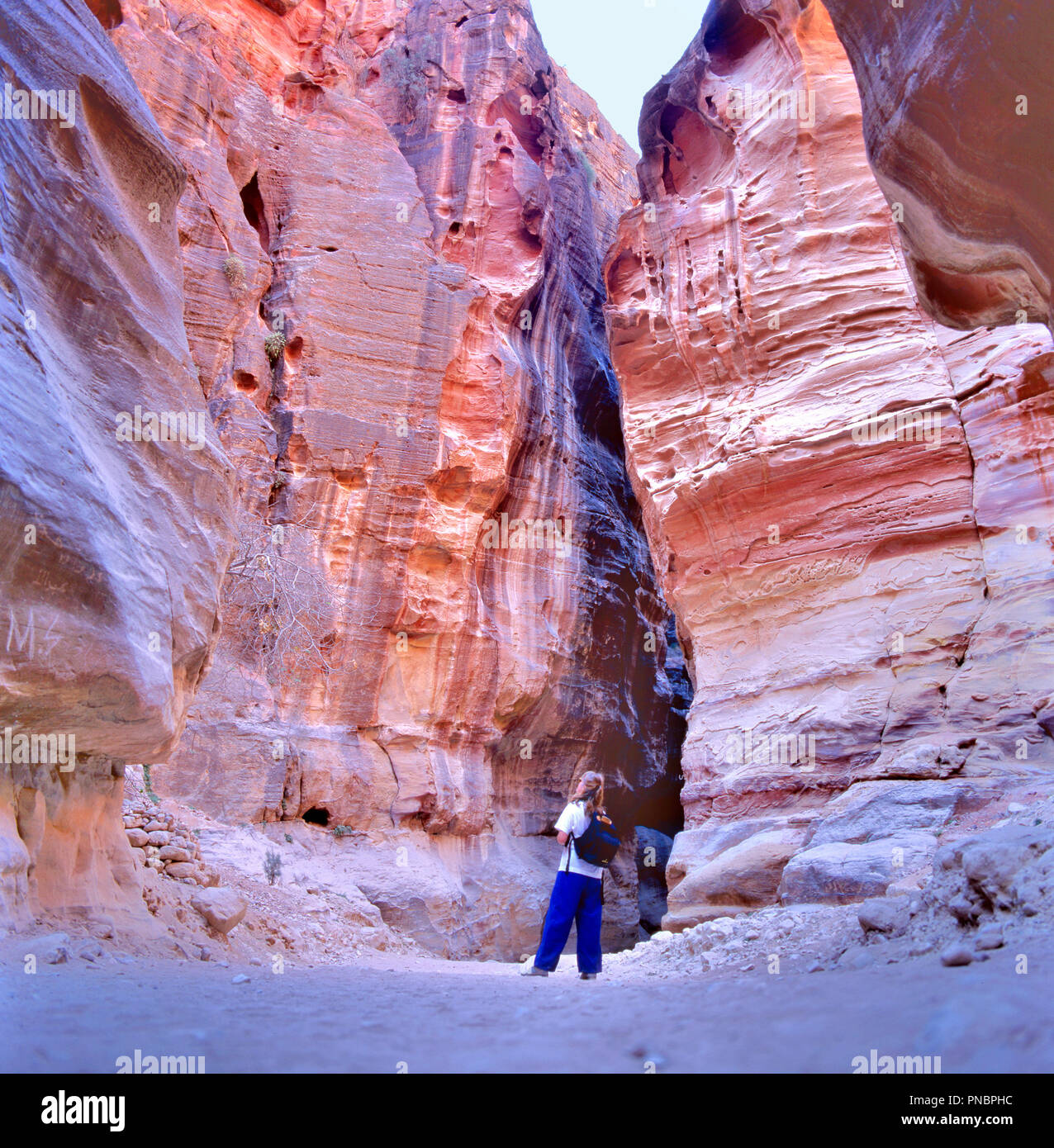 PETRA,JORDAN-SEPTEMBER 12,2015: The Siq, the narrow slot-canyon that serves as the entrance passage to the hidden city of Petra, Jordan Stock Photo