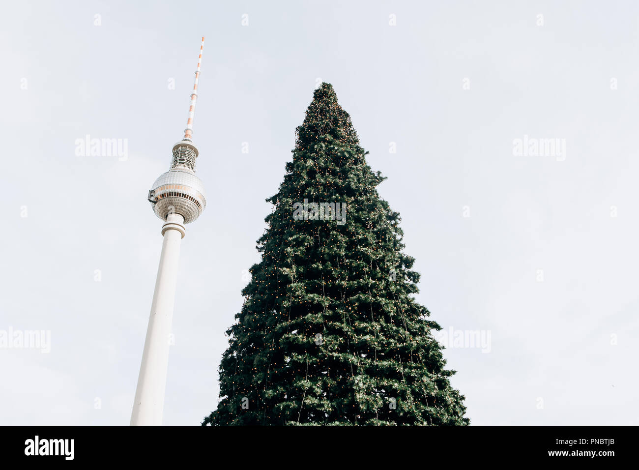 Christmas tree on Alexanderplatz in Berlin in Germany. Celebrating