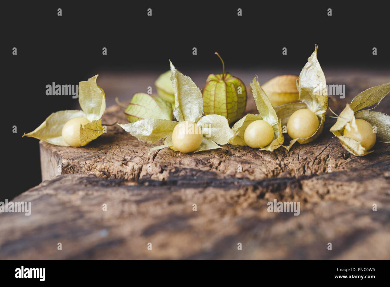 Cut leaved groundcherry Stock Photo