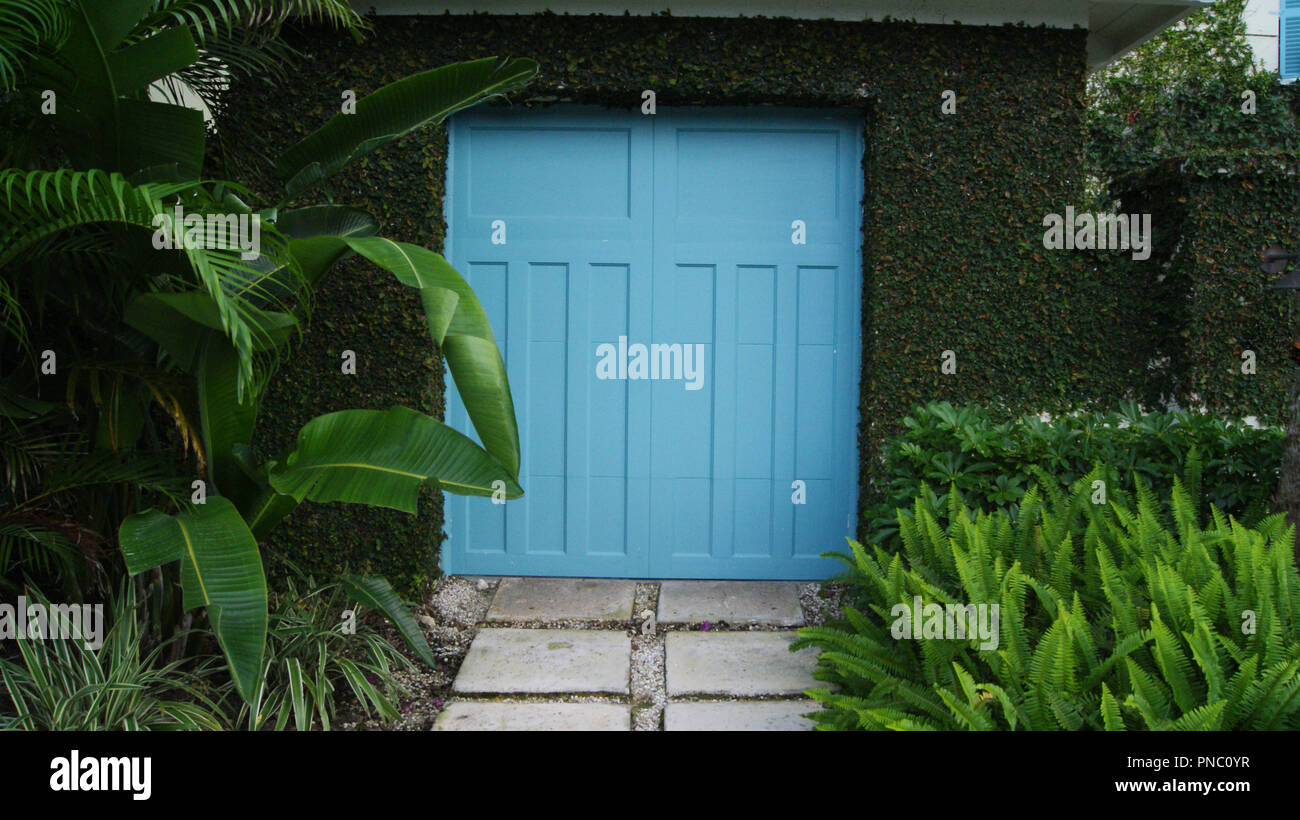 Blue gate door to a garden or garage frame by green beautiful tropical plants and leaves Stock Photo